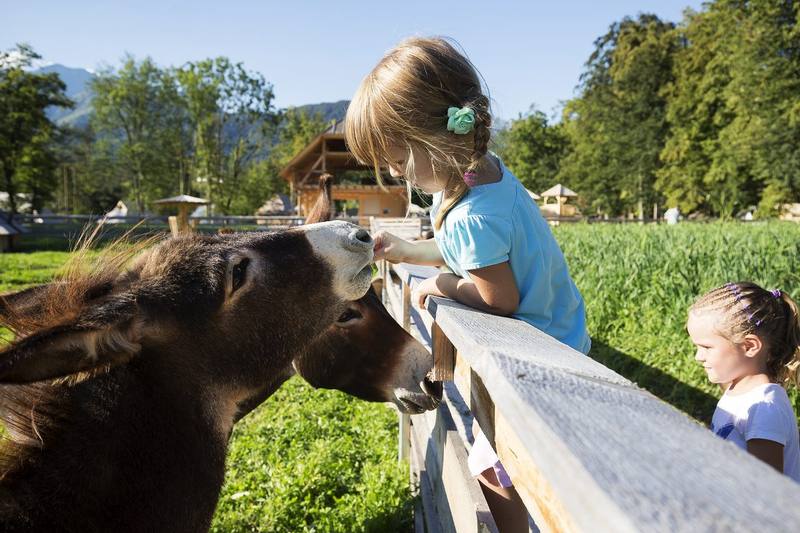 Mini zoološki vrt u Slovenia Eco Resortu